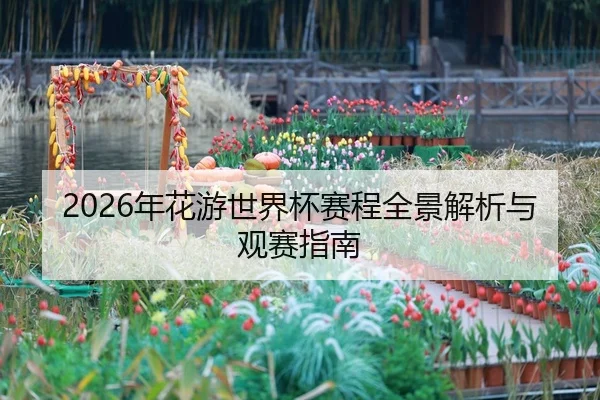 2026年花游世界杯赛程全景解析与观赛指南