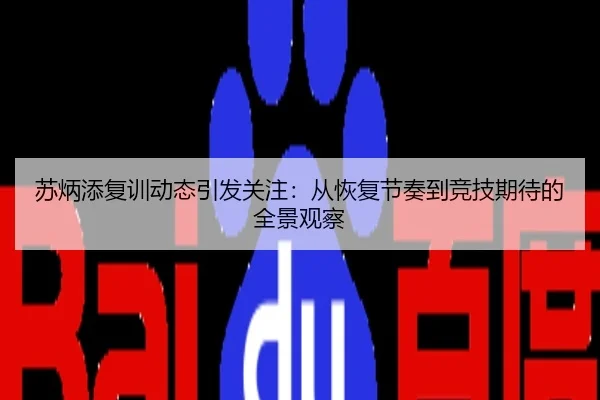 苏炳添复训动态引发关注：从恢复节奏到竞技期待的全景观察