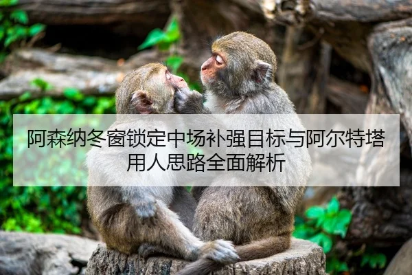 阿森纳冬窗锁定中场补强目标与阿尔特塔用人思路全面解析